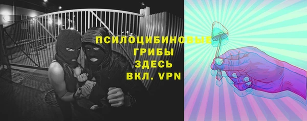 крисы Верея