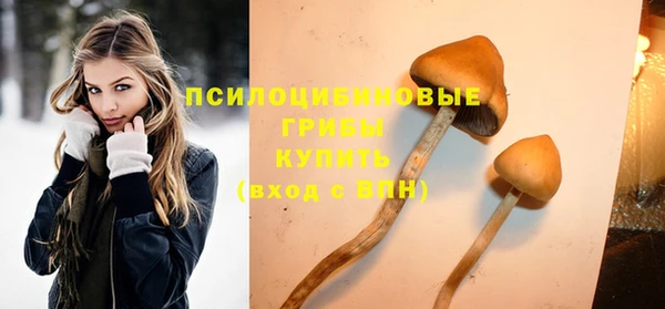 спайс Верхний Тагил
