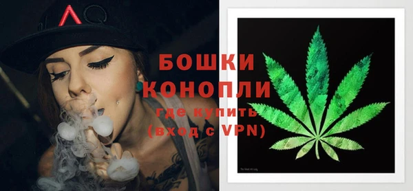 крисы Верея