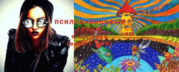 крисы Верея