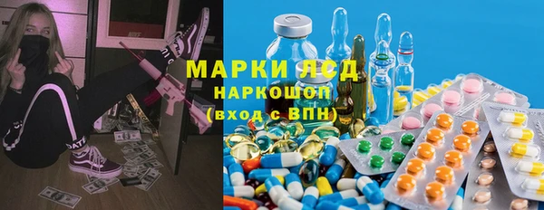 крисы Верея